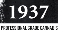 1937